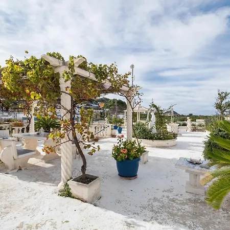 Civitina Homes